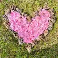 伊達神社(北海道)