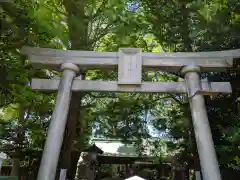 奥澤神社の鳥居