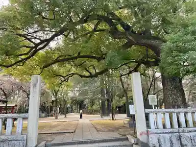 川口神社(埼玉県)