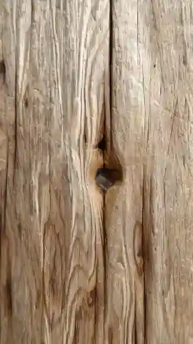 東大寺のその他建物