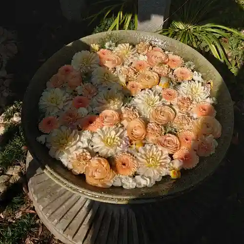 行田八幡神社の手水