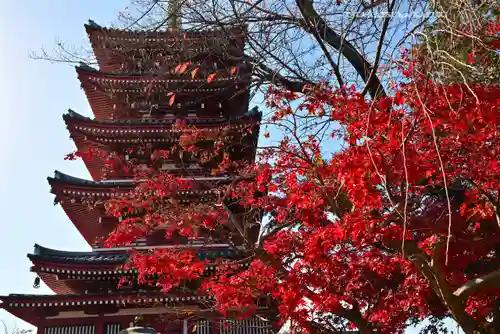 本土寺(千葉県)
