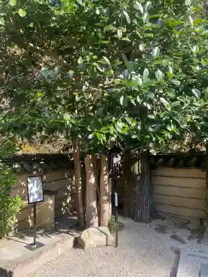 法起院(奈良県)