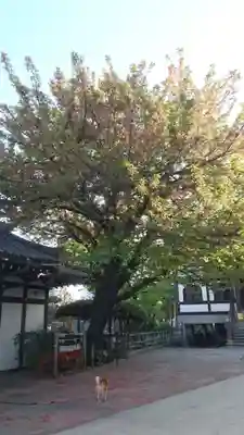 感通寺(東京都)