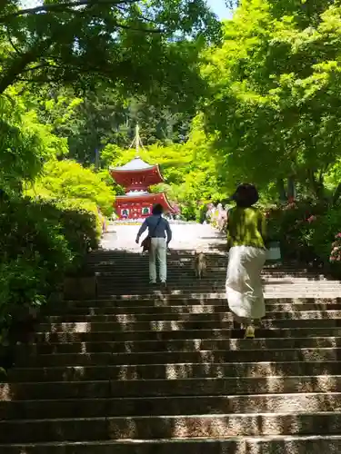 勝尾寺のその他建物