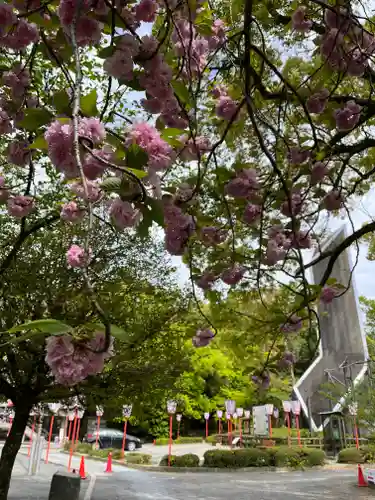 石清水八幡宮(京都府)
