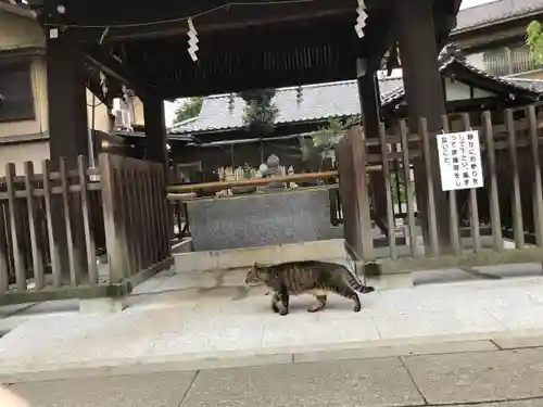 白山神社の動物