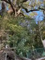 大鳥美波比神社(大鳥大社境内摂社)の{uncategorized: "未分類", other: "その他", undefined: "問題あり", building: "その他建物", grave: "お墓", sacred_gate: "鳥居", guardian: "狛犬", statue: "像", buddha: "仏像", history: "歴史", nature: "自然", garden: "庭園", animal: "動物", pagoda: "塔", temizu: "手水舎", mountain_gate: "山門・神門", sanctuary: "本殿・本堂", subordinate: "末社・摂社", art: "芸術", scenery: "景色", jizo: "地蔵", ema: "絵馬", goshuin: "御朱印", omikuji: "おみくじ", items: "授与品その他", amulet: "お守り", goshuincho: "御朱印帳", eats: "食事", festival: "お祭り", votive_dance: "神楽", shichigosan: "七五三参", wedding: "結婚式", experience: "体験その他", initially: "初詣", around: "周辺", anti_infection: "感染症対策"}