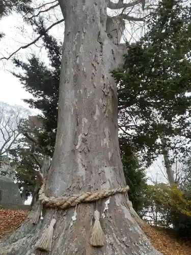 木間塚神明社(宮城県)
