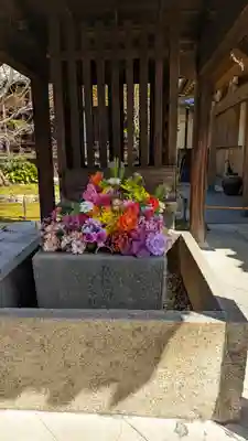 勝林寺(京都府)