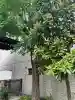 甘酒稲荷神社の{uncategorized: "未分類", other: "その他", undefined: "問題あり", building: "その他建物", grave: "お墓", sacred_gate: "鳥居", guardian: "狛犬", statue: "像", buddha: "仏像", history: "歴史", nature: "自然", garden: "庭園", animal: "動物", pagoda: "塔", temizu: "手水舎", mountain_gate: "山門・神門", sanctuary: "本殿・本堂", subordinate: "末社・摂社", art: "芸術", scenery: "景色", jizo: "地蔵", ema: "絵馬", goshuin: "御朱印", omikuji: "おみくじ", items: "授与品その他", amulet: "お守り", goshuincho: "御朱印帳", eats: "食事", festival: "お祭り", votive_dance: "神楽", shichigosan: "七五三参", wedding: "結婚式", experience: "体験その他", initially: "初詣", around: "周辺", anti_infection: "感染症対策"}