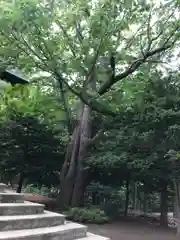 月寒神社の自然