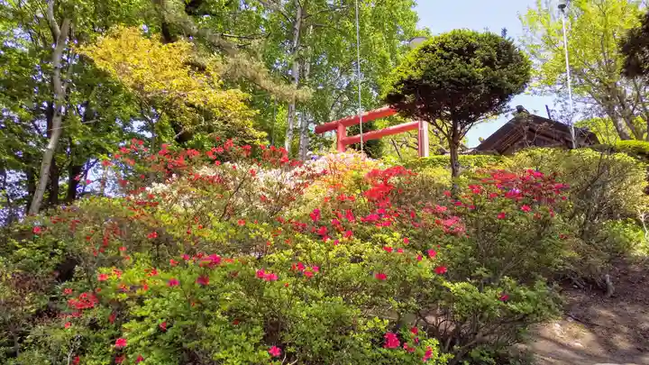 本輪西八幡神社の自然