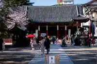 浅草神社の本殿・本堂