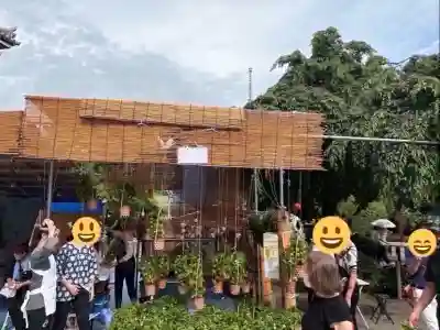 浅草寺のお祭り