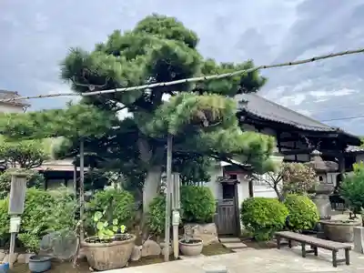 蓮華寺(東京都)
