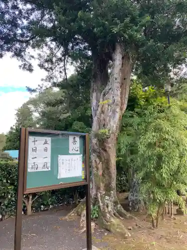大室山龍渓院のその他建物