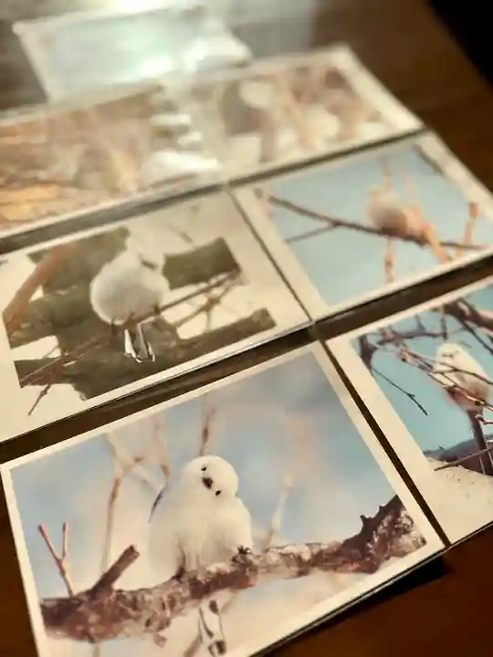 伊達神社(北海道)