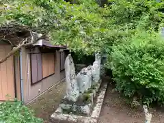 西願寺阿弥陀堂の自然