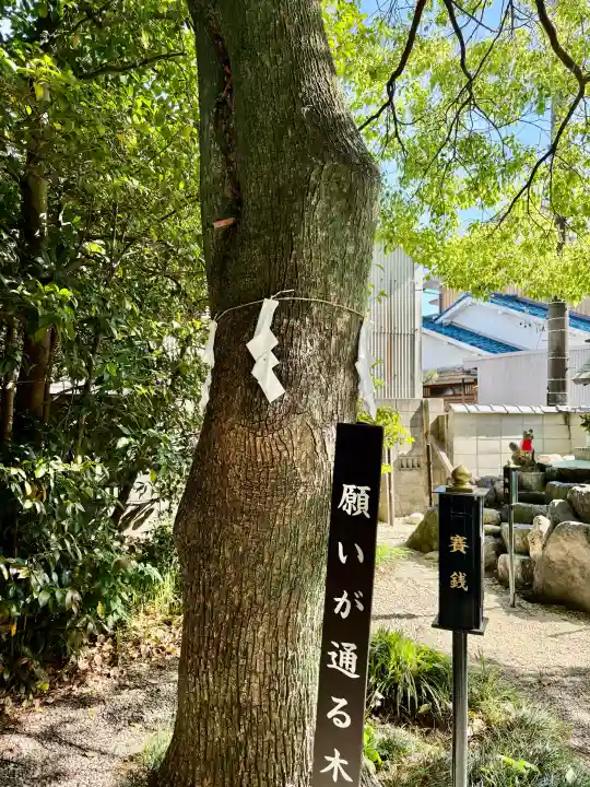 玉三稲荷神社の{uncategorized: "未分類", other: "その他", undefined: "問題あり", building: "その他建物", grave: "お墓", sacred_gate: "鳥居", guardian: "狛犬", statue: "像", buddha: "仏像", history: "歴史", nature: "自然", garden: "庭園", animal: "動物", pagoda: "塔", temizu: "手水舎", mountain_gate: "山門・神門", sanctuary: "本殿・本堂", subordinate: "末社・摂社", art: "芸術", scenery: "景色", jizo: "地蔵", ema: "絵馬", goshuin: "御朱印", omikuji: "おみくじ", items: "授与品その他", amulet: "お守り", goshuincho: "御朱印帳", eats: "食事", festival: "お祭り", votive_dance: "神楽", shichigosan: "七五三参", wedding: "結婚式", experience: "体験その他", initially: "初詣", around: "周辺", anti_infection: "感染症対策"}