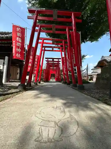 於菊稲荷神社の鳥居