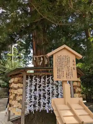 大崎八幡宮(宮城県)