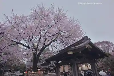 出雲大社相模分祠(神奈川県)