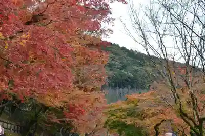 清水寺(京都府)