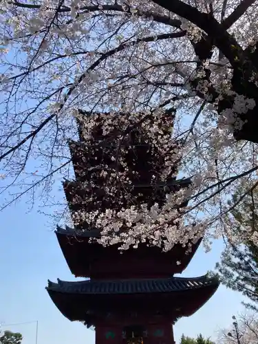 池上本門寺(東京都)