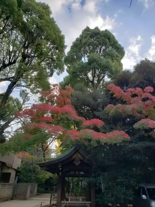 渋谷氷川神社(東京都)