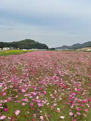 道通神社(岡山県)
