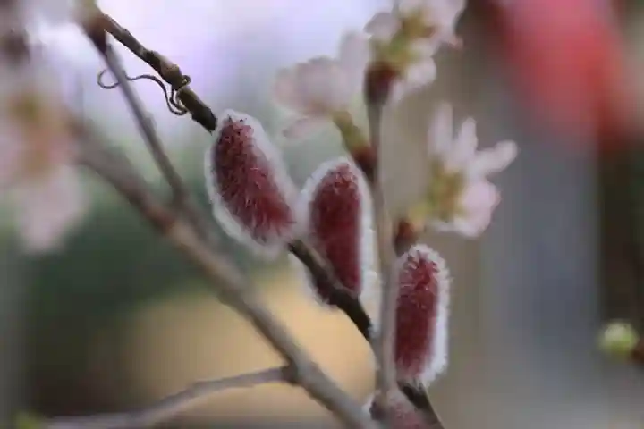 滑川神社 - 仕事と子どもの守り神の手水舎