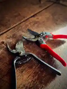 浄居寺(山梨県)(2025年02月11日(火) 19時41分54秒投稿)