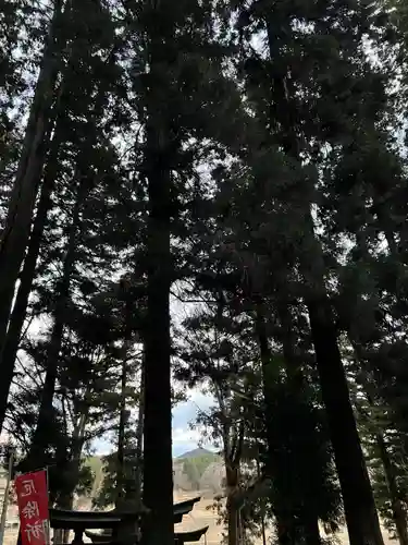 大宮温泉神社(栃木県)