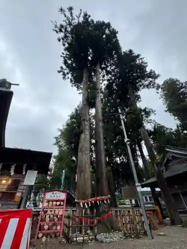 櫛引八幡宮(青森県)