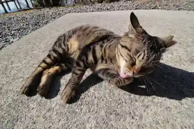唐澤山神社(栃木県)