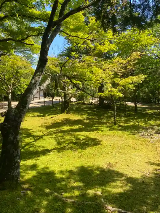 神護寺(京都府)