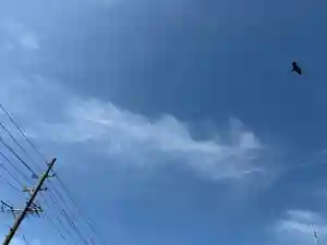 西方山極楽寺(岐阜県)(2026年03月09日(月) 18時20分18秒投稿)