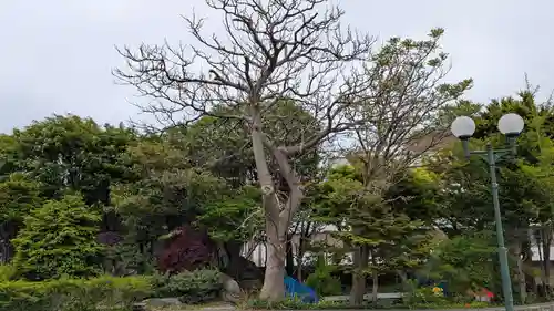 量徳寺(北海道)