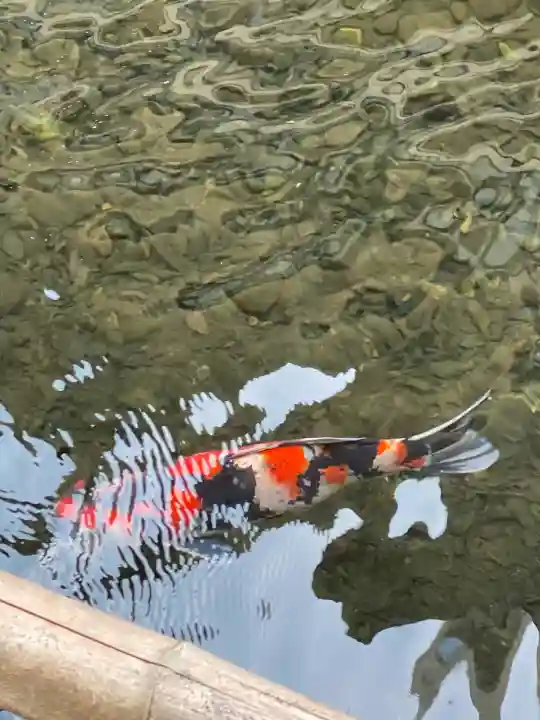 子安神社(東京都)
