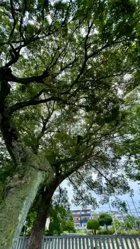 彌刀神社(大阪府)
