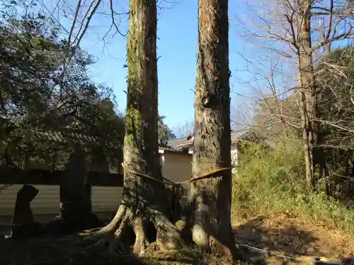 妻沼聖天山歓喜院のその他建物