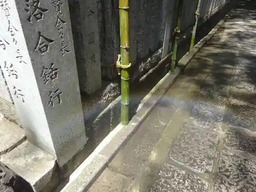 多摩川浅間神社の自然