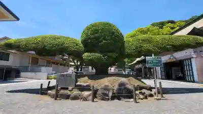 照國神社の{uncategorized: "未分類", other: "その他", undefined: "問題あり", building: "その他建物", grave: "お墓", sacred_gate: "鳥居", guardian: "狛犬", statue: "像", buddha: "仏像", history: "歴史", nature: "自然", garden: "庭園", animal: "動物", pagoda: "塔", temizu: "手水舎", mountain_gate: "山門・神門", sanctuary: "本殿・本堂", subordinate: "末社・摂社", art: "芸術", scenery: "景色", jizo: "地蔵", ema: "絵馬", goshuin: "御朱印", omikuji: "おみくじ", items: "授与品その他", amulet: "お守り", goshuincho: "御朱印帳", eats: "食事", festival: "お祭り", votive_dance: "神楽", shichigosan: "七五三参", wedding: "結婚式", experience: "体験その他", initially: "初詣", around: "周辺", anti_infection: "感染症対策"}