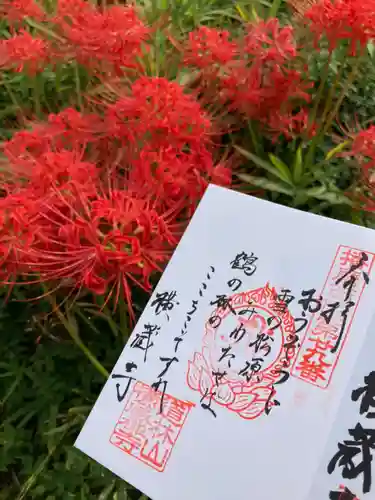 横蔵寺の御朱印