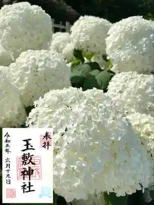 玉敷公園の紫陽花と
平日のみお書き入れ対応の御朱印