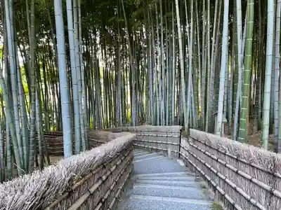 化野念仏寺(京都府)
