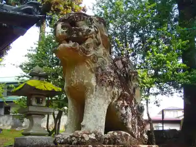 春日神社の狛犬