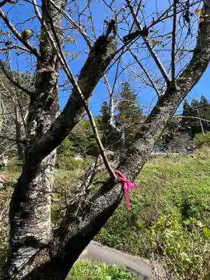 国宝 大法寺(長野県)