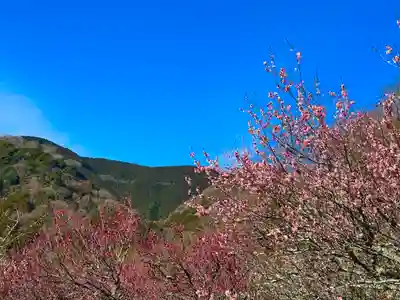 五所神社(神奈川県)